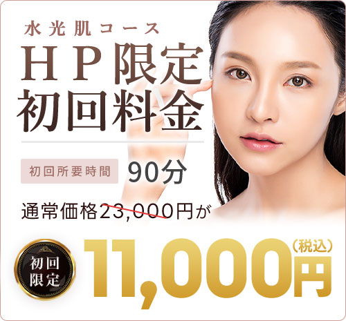 HP初回限定料金：11,000円(税込)